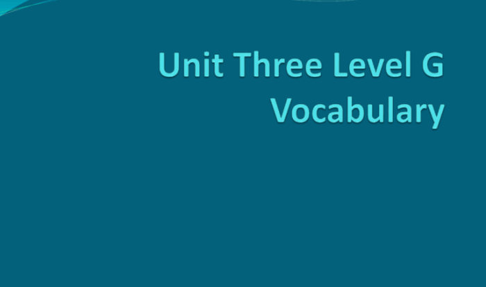 Vocabulary unit 3 level g