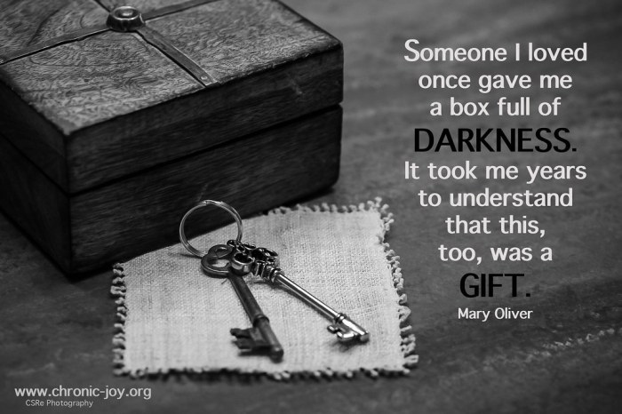 Mary oliver box of darkness meaning