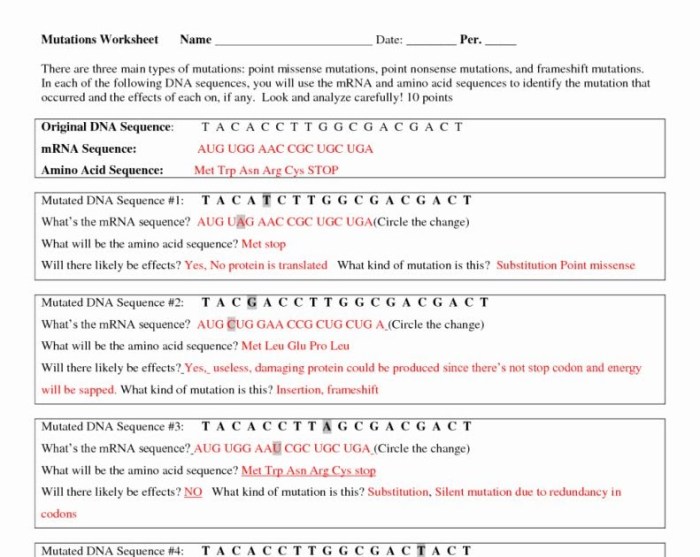 Dna profiling worksheet answer key