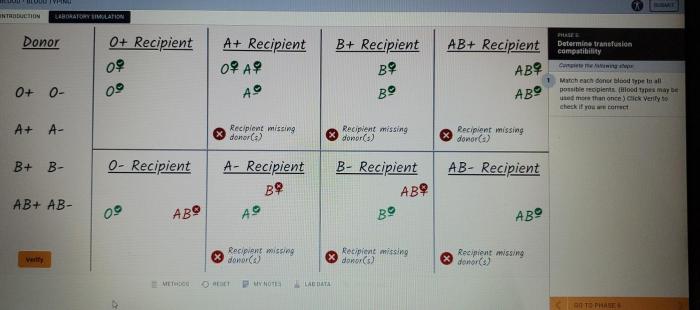 Blood typing lab simulation answer key