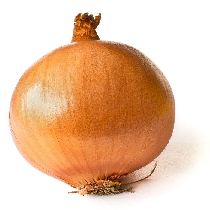 Onion cepa allium benefits onions health food