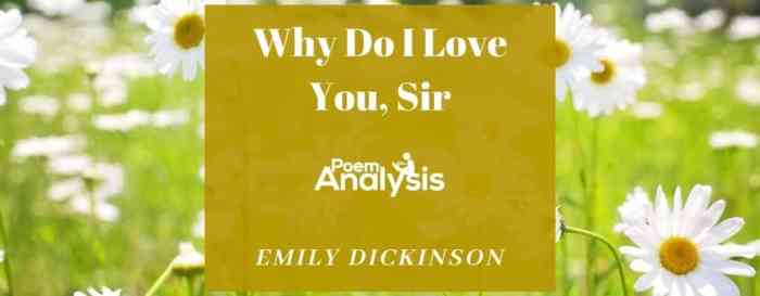 Why do i love you sir emily dickinson