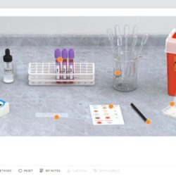 Blood typing lab simulation answer key