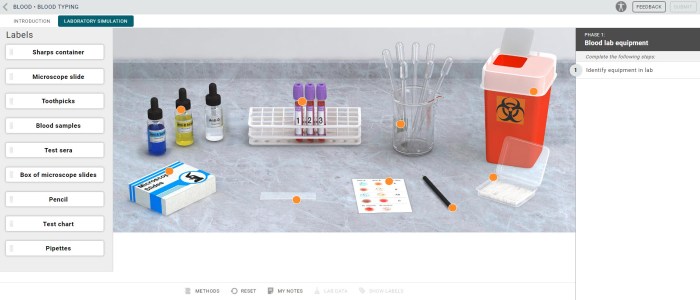 Blood typing lab simulation answer key