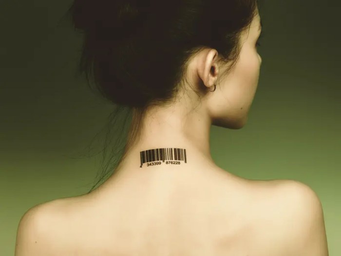 Summary of the barcode tattoo