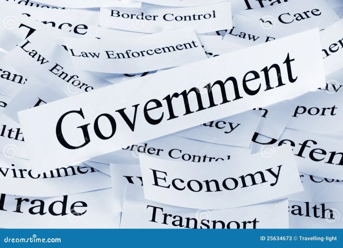 Government and the economy icivics pdf