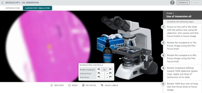 Microscopy oil immersion lab mcgraw hill