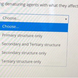 Denaturation proteins